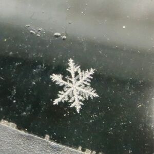 Snowflake print